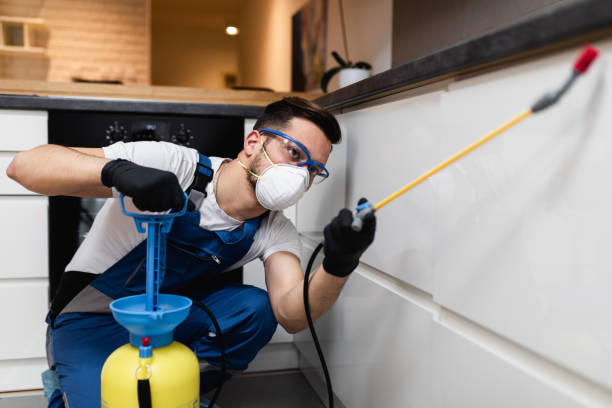 Best Residential Pest Control  in Berlin, OH