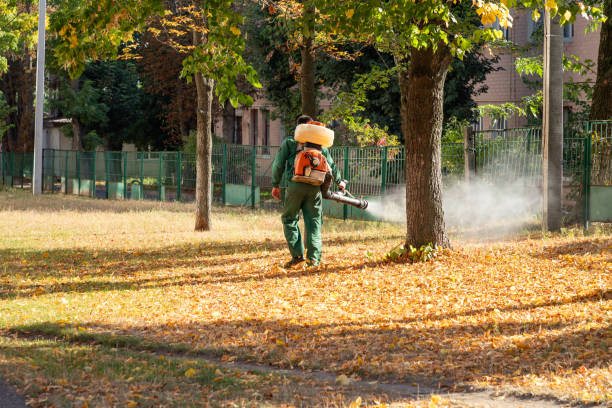 Best Mosquito Control Services  in Berlin, OH